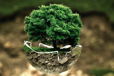 關(guān)于呈達(dá)